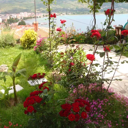 Saray أوهغيد